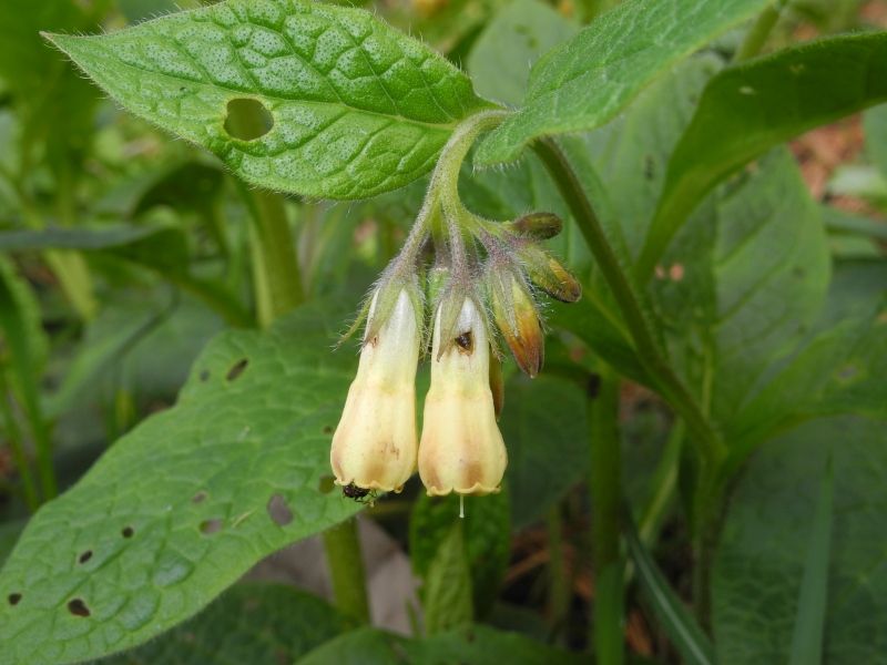 Figlie bucate da chi?